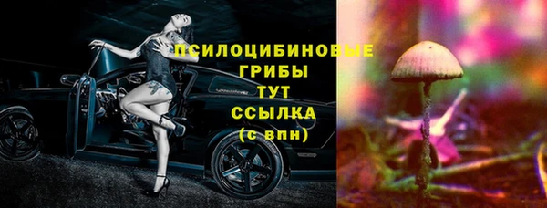 Альфа ПВП Абаза