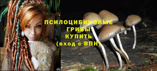 эйфоретик Абинск