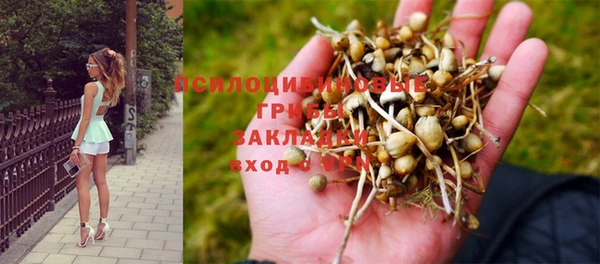 Альфа ПВП Абаза