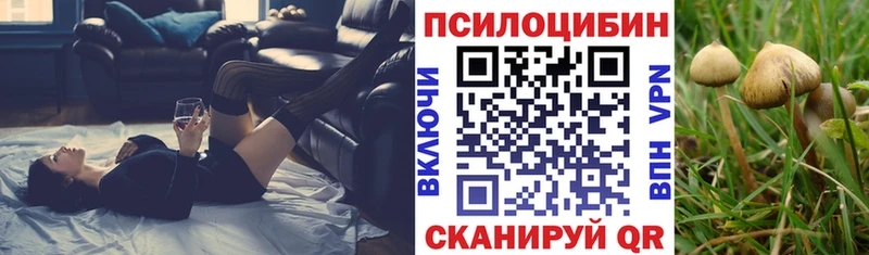 Псилоцибиновые грибы прущие грибы  Каменск-Шахтинский 
